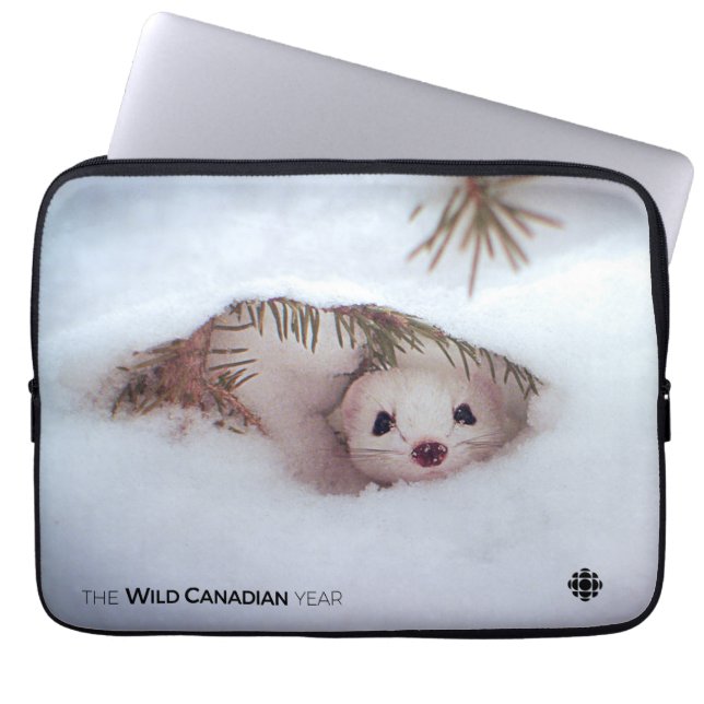 Winter - Korte zandspiering Laptop Sleeve (Voorkant)