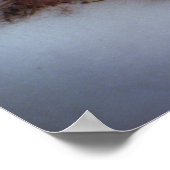 Winter - Korte zandspiering Poster (Hoek)