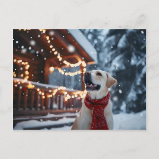 Winter Labrador Christmas Kaart