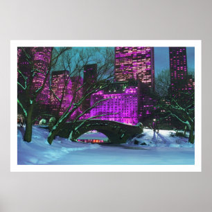 Winter Landscape Central Park New York Poster