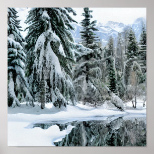 Winter Landscape Evergreen Trees Snow Mountains Poster