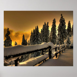 Winter Landscape Fence Foto Natuur Wall Poster