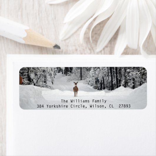 Winter Landscape Photo Return Label (Insitu)