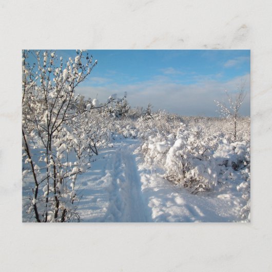 Winter Landscape - Postcard Briefkaart (Voorkant)