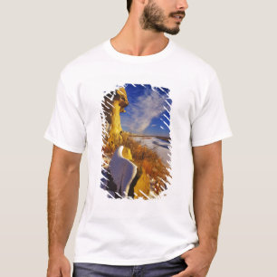 Winter langs de Missouri rivier bij T-shirt