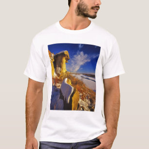 Winter langs de Missouri rivier bij T-shirt