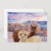 Winter Llamas Briefkaart (Voorkant / Achterkant)