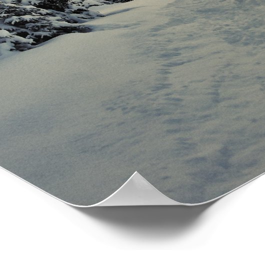 Winter Magic Poster (Hoek)