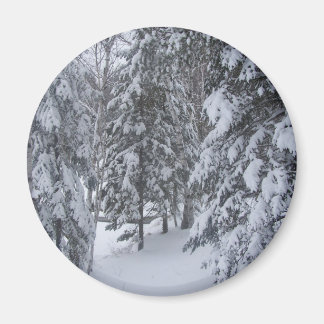 winter magneet
