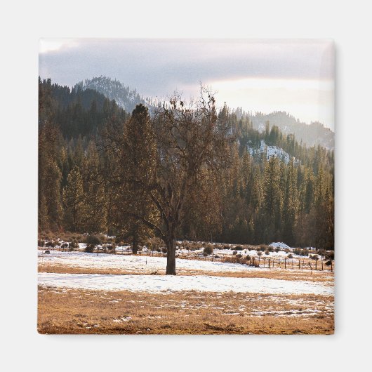 Winter..... Magneet (Voorkant)