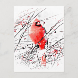 WINTER MALE CARDINAL BRIEFKAART