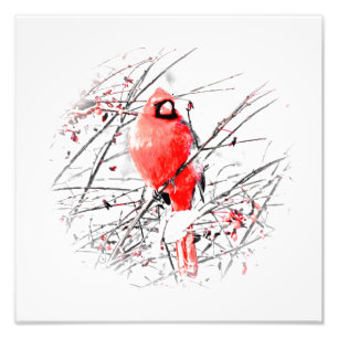 WINTER MALE CARDINAL FOTO AFDRUK