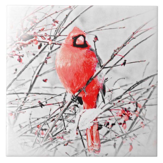 WINTER MALE CARDINAL TEGELTJE (Voorkant)