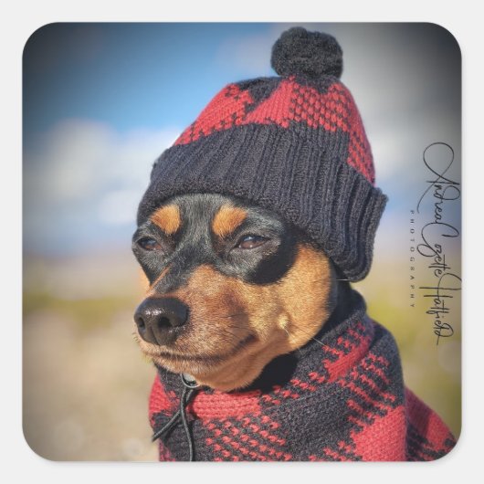 Winter Min Pin Vierkante Sticker (Voorkant)