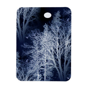 Winter Moon... Magneet