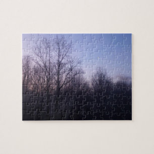 Winter Moon Morning Landscape Foto Legpuzzel