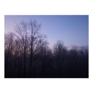 Winter Moon Morning Landscape Foto Perfect Poster