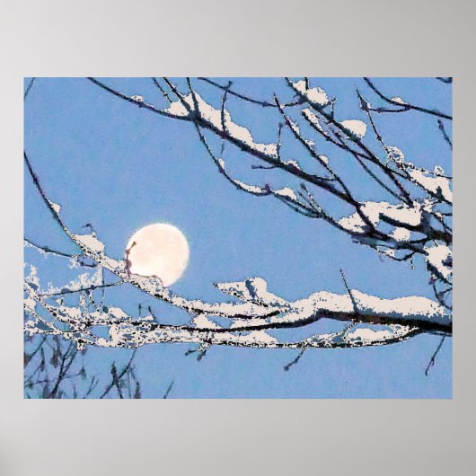 Winter Moon Poster (Voorkant)