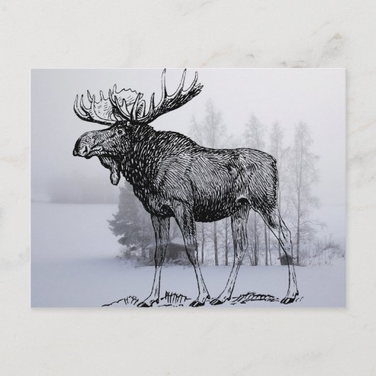Winter Moose Briefkaart (Voorkant)