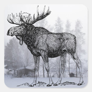 Winter Moose Vierkante Sticker