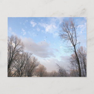 Winter Morning I Briefkaart