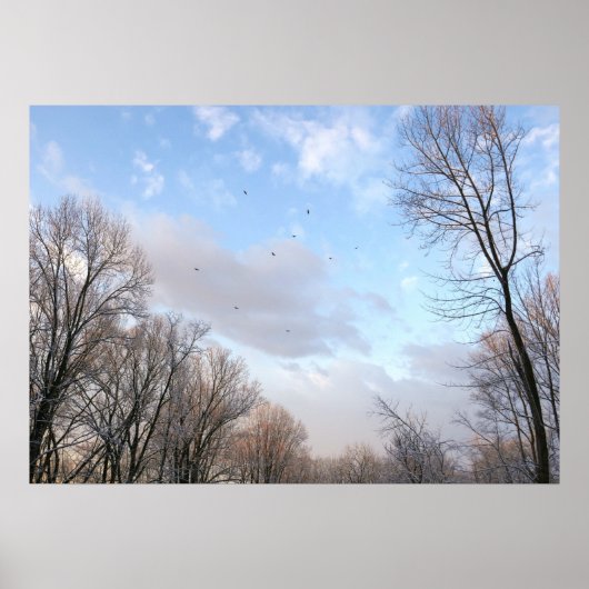 Winter Morning I Poster (Voorkant)