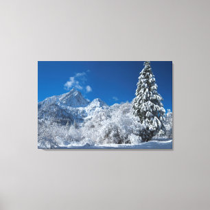 Winter Mountain Wonderland Canvas Afdruk