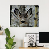 Winter Mule Deer Close-up Poster (Thuiskantoor)