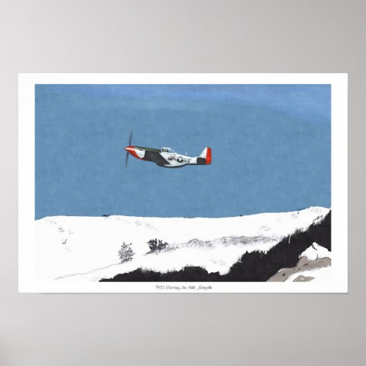 Winter Mustang P51D Poster (Voorkant)