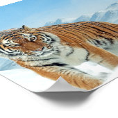 Winter Nature Photo Poster des Monts Tiger Neige (Coin)