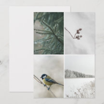 Winter Natuur foto collage