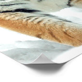 Winter Natuur Foto Tiger Snow Mountains Poster (Hoek)