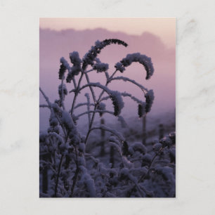 Winter, Norfolk, Engeland - Briefkaart