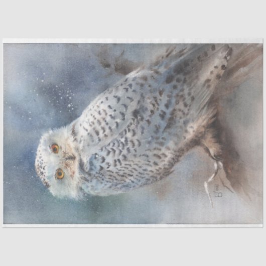 Winter-olietestpapier Tissuepapier (Voorkant)