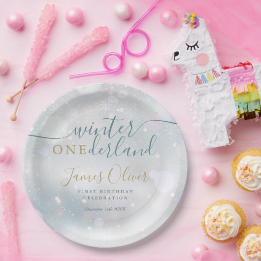 Winter Onederland 1e verjaardag Blauw en Goud Papieren Bordje (Feest)