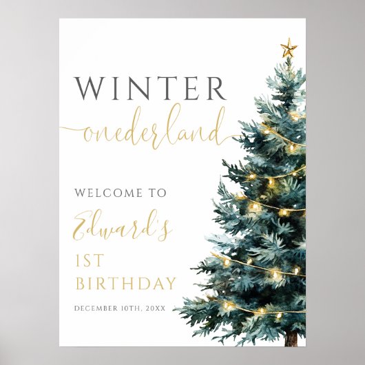 Winter Onederland 1er anniversaire Affiche de bien (Devant)