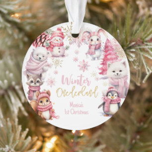 Winter onederland sneeuwvlokken eerste Kerstmis Ornament
