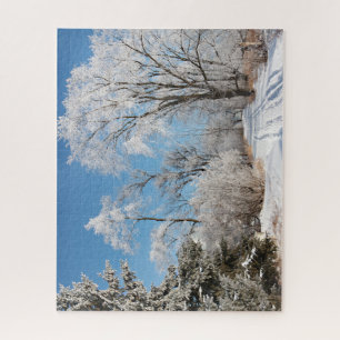 Winter op de Luce Line State Trail puzzel