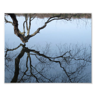 Winter op Jamaica Pond, 8x10 fotoprint Foto Afdruk