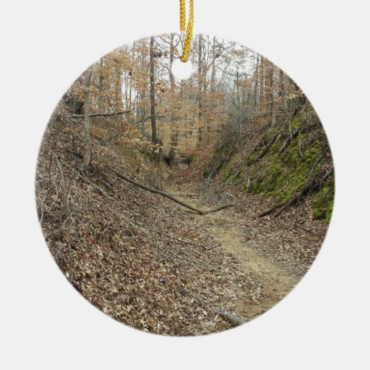 Winter op Sunken Trace Natchez Trace Parkway MS Keramisch Ornament (Voorkant)