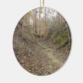 Winter op Sunken Trace Natchez Trace Parkway MS Keramisch Ornament (Links)