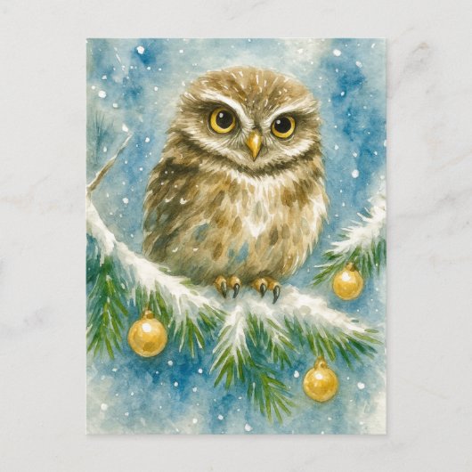 Winter Owl on Snowy Branch Christmas Postcard Feestdagenkaart (Voorkant)