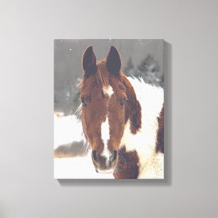 Winter Paard Verpakt Canvas Afdruk