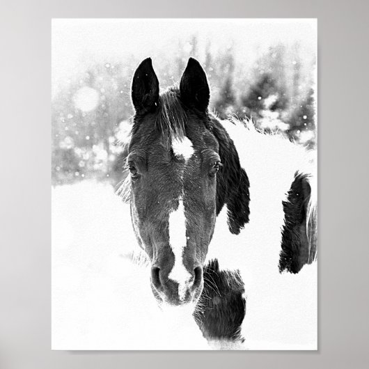Winter Paardendieren B&W Poster (Voorkant)