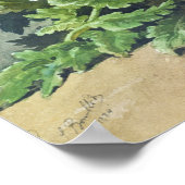 Winter Pansies, 1884 Poster (Hoek)