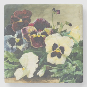 Winter Pansies, 1884 Stenen Onderzetter