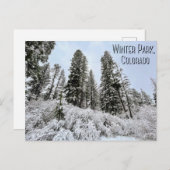 Winter Park, Colorado Briefkaart (Voorkant / Achterkant)