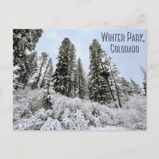 Winter Park, Colorado Carte postale (Devant)