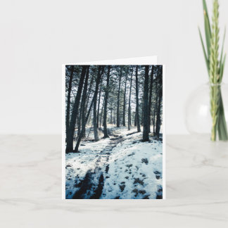 Winter Path Christmas card Feestdagen Kaart