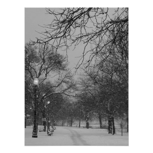 Winter Path Perfect Poster (Voorkant)